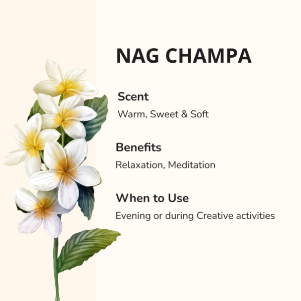 NAG CHAMPA - Image 2