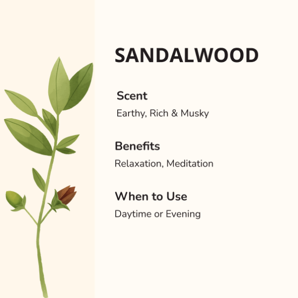 SANDALWOOD - Image 2
