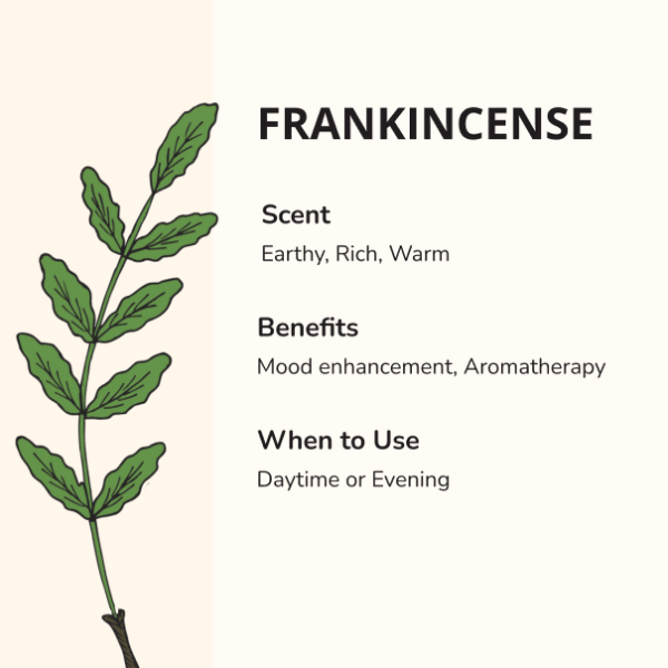 FRANKINCENSE - Image 2