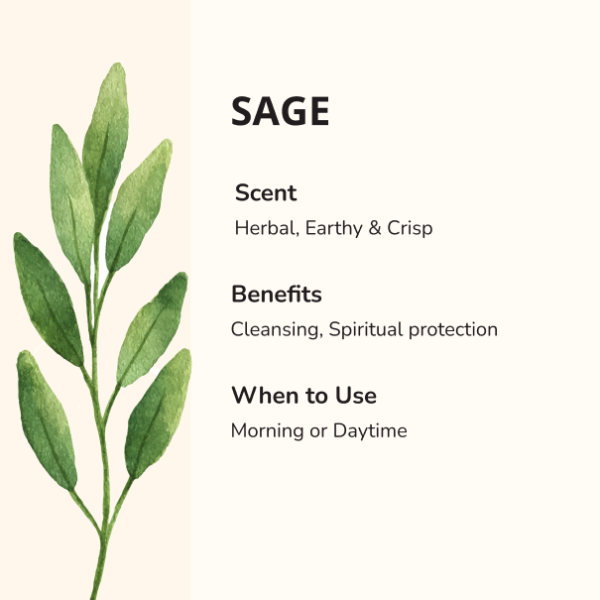 SAGE - Image 2